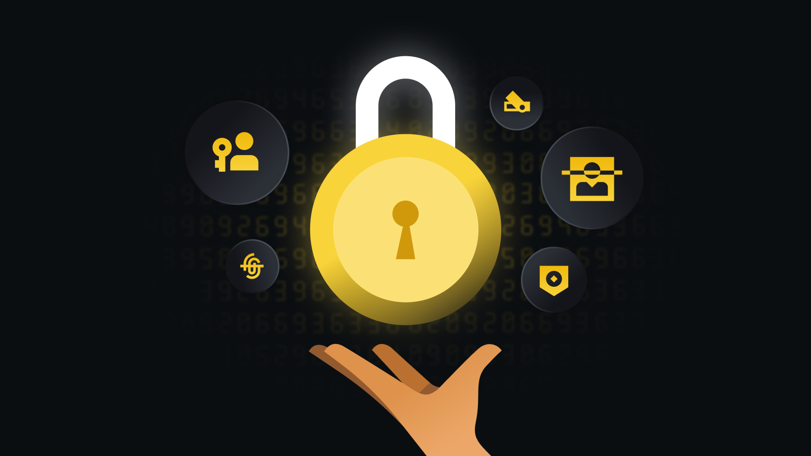 波比音乐官方正版